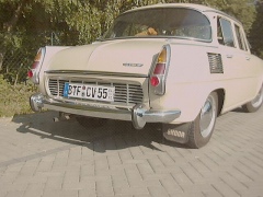 Michas Skoda
